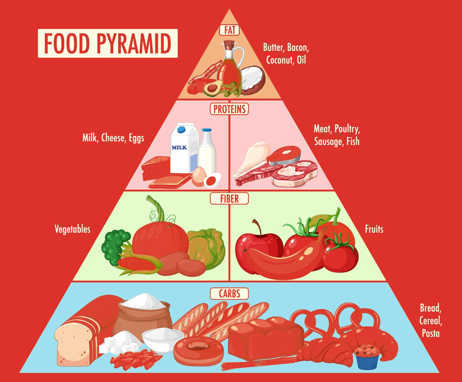 food pyramid